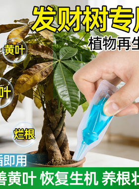 发财树专用植物再生剂浓缩营养液盆栽绿植复活液叶子发黄掉叶专用