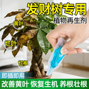 发财树专用植物再生剂浓缩营养液盆栽绿植复活液叶子发黄掉叶专用