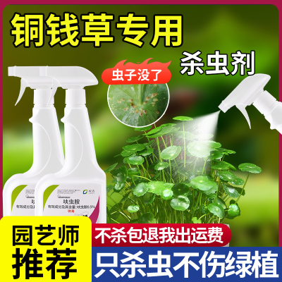 领沃铜钱草液体驱虫药阳台植物用