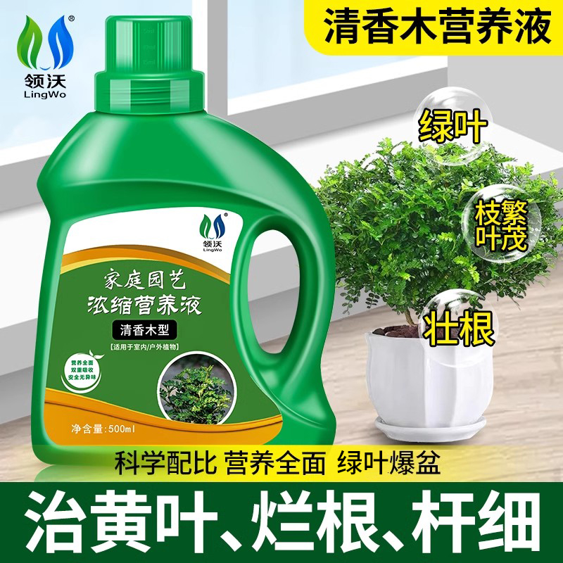 领沃清香木专用营养液盆景叶面肥