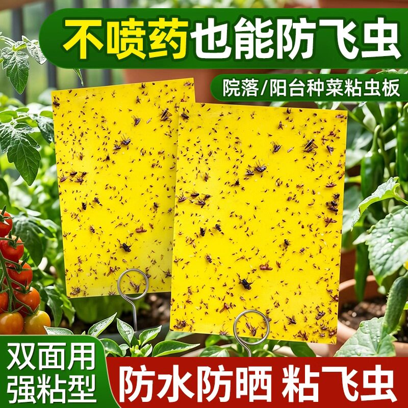 粘虫板小黄板双面板花卉果树专用树木绿化通用小黑飞果蝇诱虫神器 - 实物图