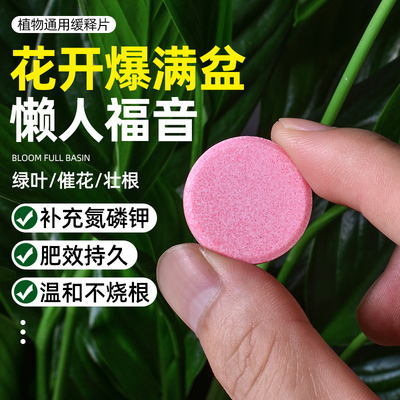 植物营养缓释片肥料氮磷钾复合肥