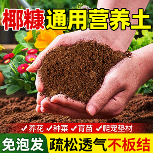 椰糠营养土养花通用型种菜花卉无菌透气椰砖乌龟专用冬眠免泡椰土