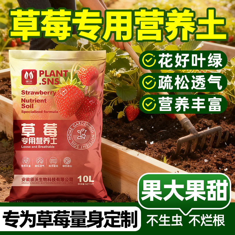 草莓专用营养土阳台盆栽有机质草莓专用土疏松透气植物土壤种植土