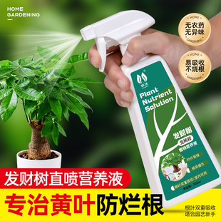 发财树专用营养液肥料幸福树富贵竹天堂鸟盆栽绿植物免稀释液体肥