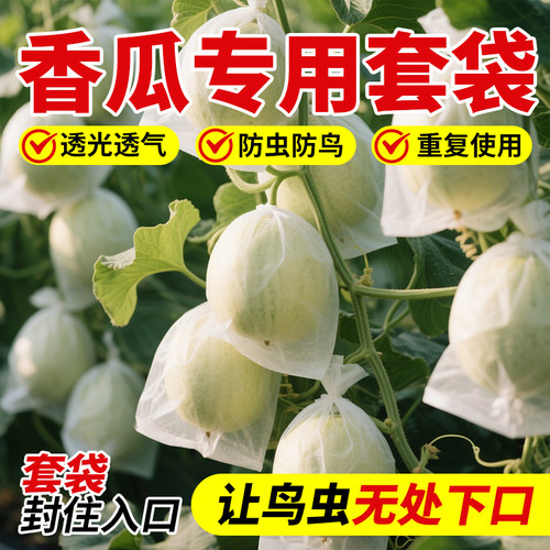 领沃香瓜专用套袋通用水果网纱袋