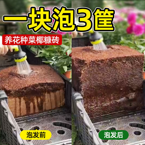 领沃椰壳椰砖天然无菌型大块颗粒