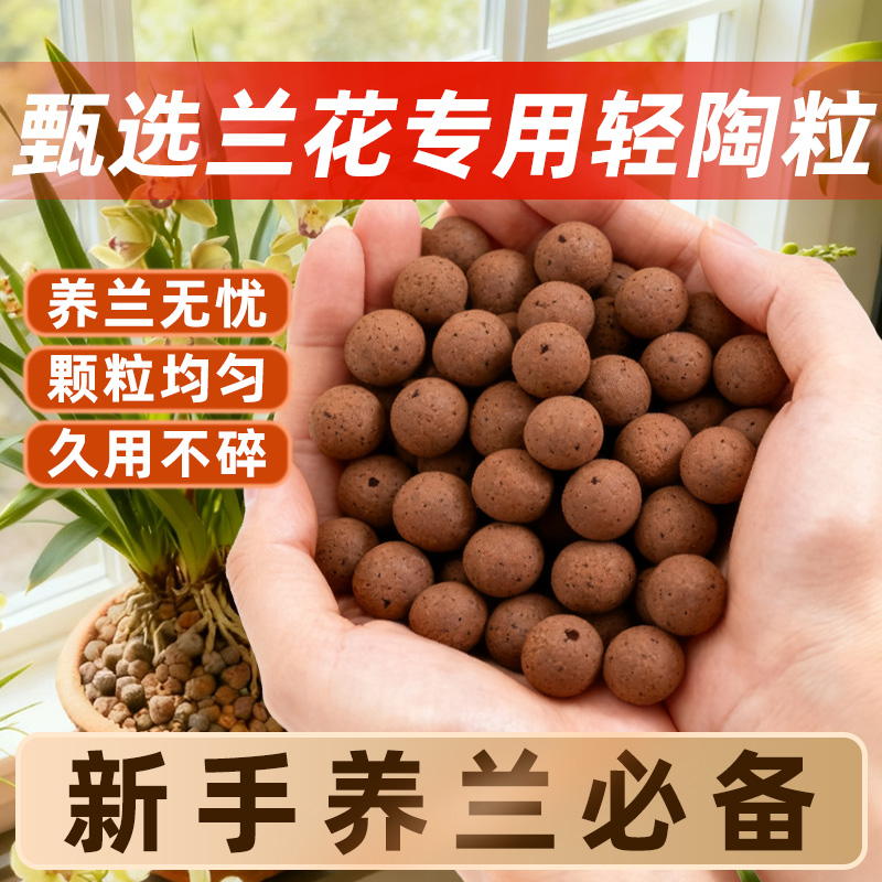 兰花专用陶粒新手垫底铺面防烂根