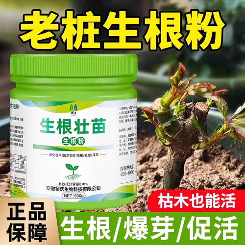 领沃老桩生根粉月季多肉植物专用