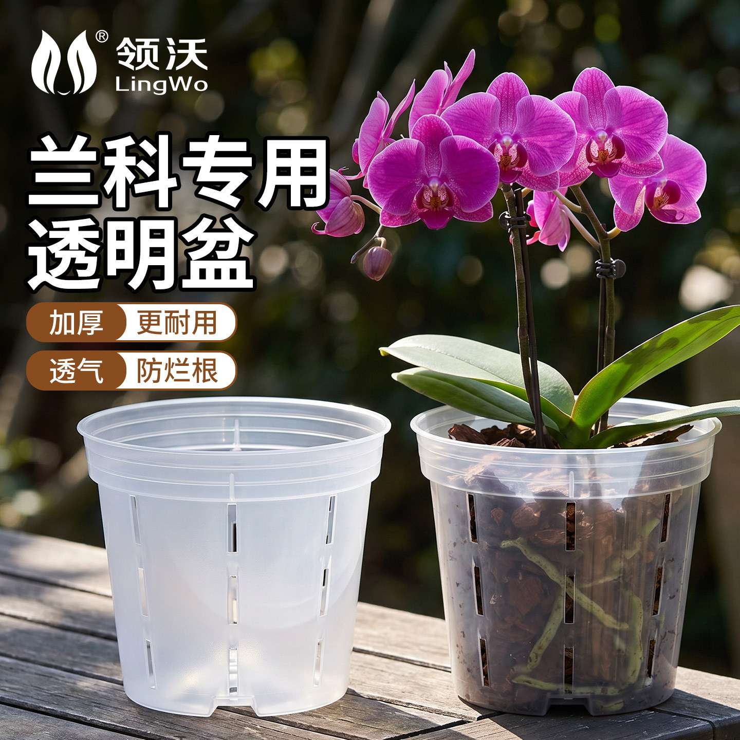 透明加厚透气控根青山兰花盆图片
