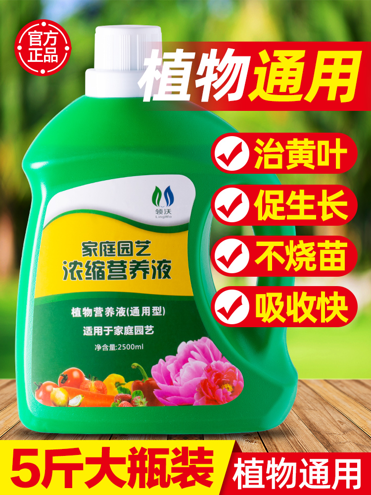 营养液植物通用型家用盆栽绿植花卉水培富贵竹绿萝发财树养花肥料