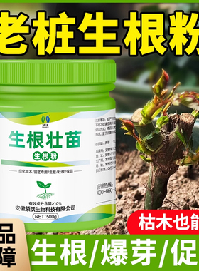 老桩生根粉植物通用生根剂壮苗剂快速生根液果树月季多肉植物专用