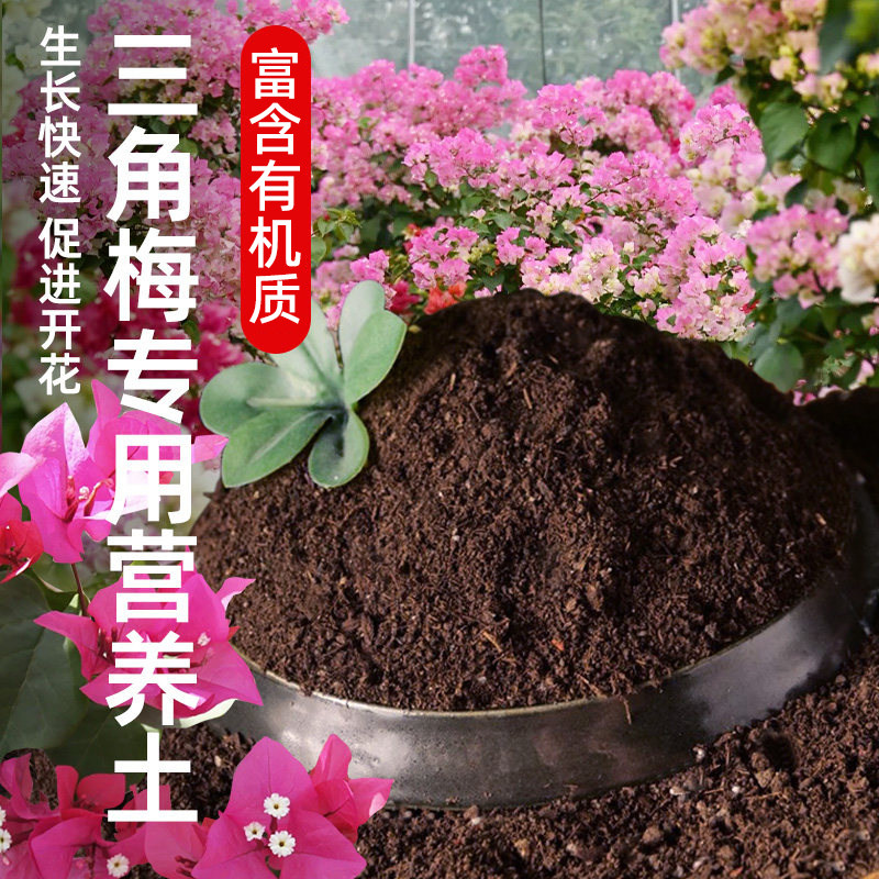 三角梅专用土疏松透气养花通用型图片