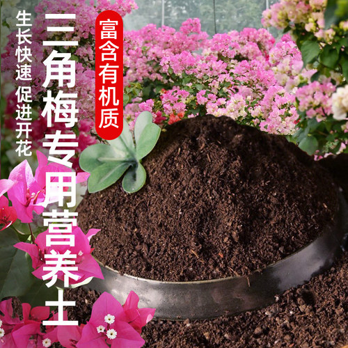 三角梅专用土疏松透气养花通用型