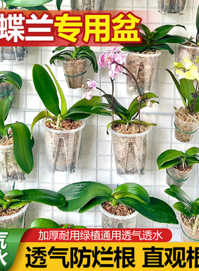 蝴蝶兰花盆专用轻奢高级感套盆高端透明加厚塑料加仑盆栽阳台控根