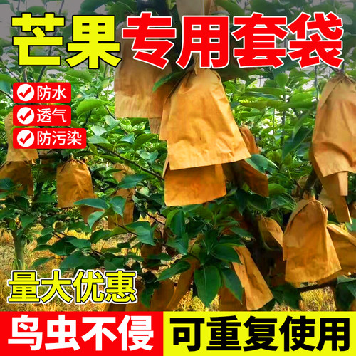 领沃芒果套袋专用袋防虫防鸟神器