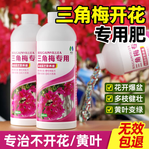 领沃三角梅专用营养液促花开绿叶