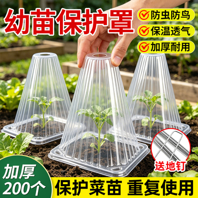 育苗保护罩大号防虫防鸟加厚加固