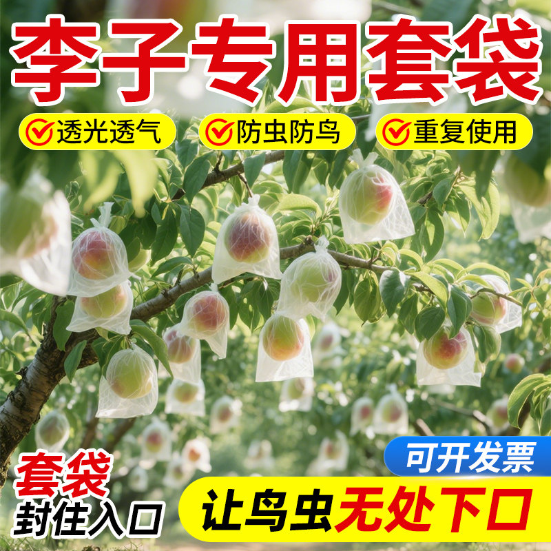 李子套袋专用防虫防鸟葡萄大中小型水果通用保护防果蝇透气网纱袋
