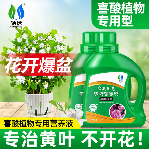 喜酸植物营养液肥料专用肥茉莉花