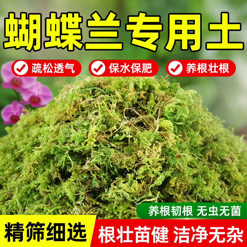 蝴蝶兰专用水苔干苔藓青苔花盆兰花土种植松树皮保水保肥疏松透气