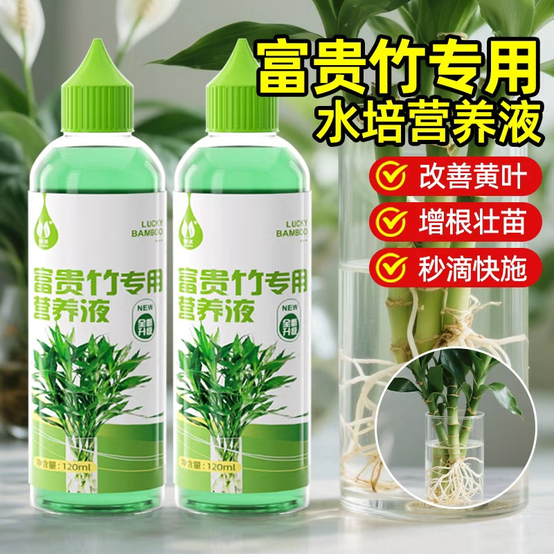 富贵竹营养液水培专用促生根肥料