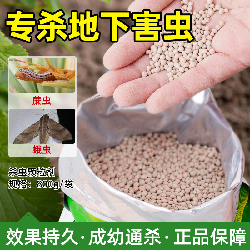 噻虫胺颗粒剂氯虫地下害虫克星专用土壤防虫撒施蔬菜果园油菜通用