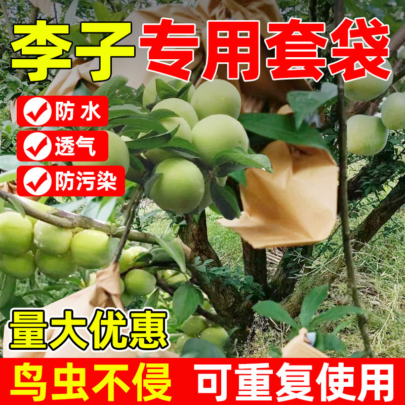 李子套袋专用果袋猕猴桃桃子梨子苹果瓜果蔬菜通用型防虫防鸟神器