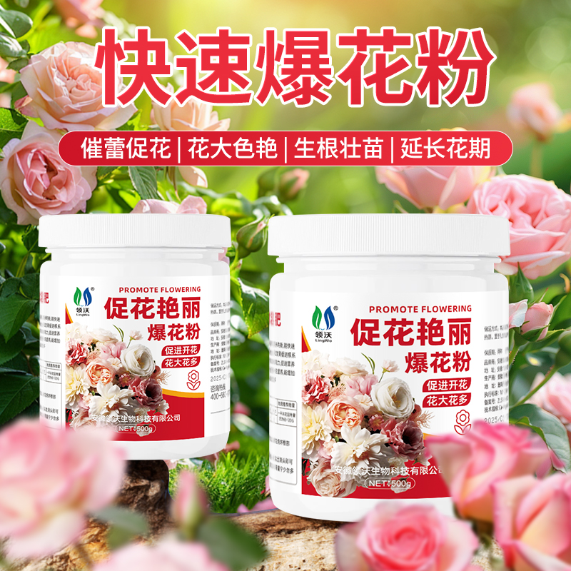 月季专用肥水溶肥爆花粉室内盆栽缓释复合肥玫瑰花蔷薇开花颗粒肥