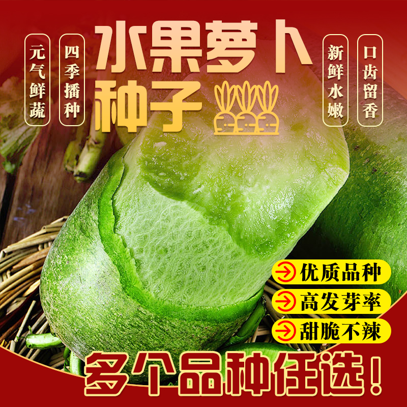 领沃四季水果萝卜蔬菜种子高产种