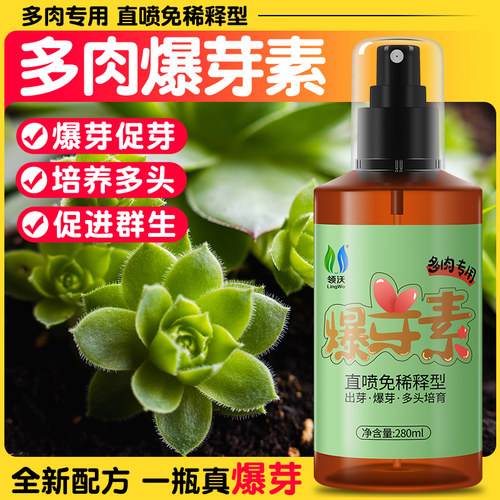 多肉爆芽素促多头发芽催芽促生根