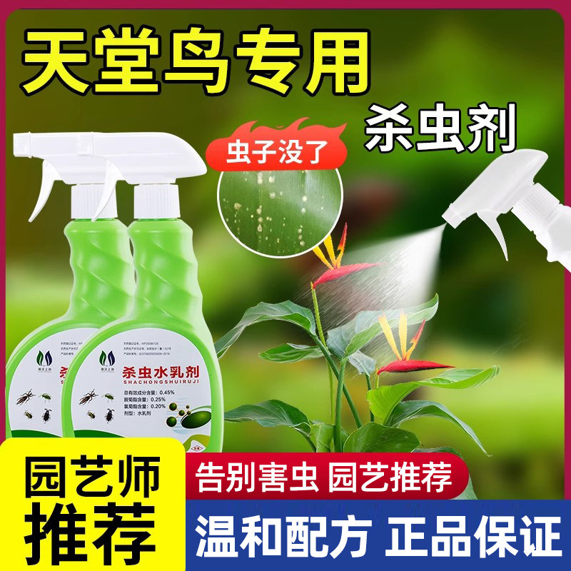 天堂鸟杀虫剂鹤望兰专用打虫药蚧壳虫家用盆栽绿植土壤灭虫子用药