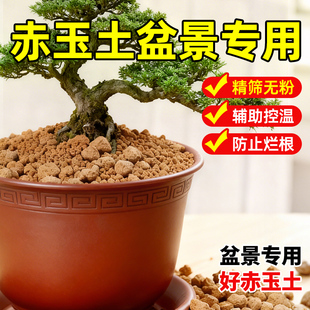 赤玉土盆景专用颗粒三本线硬质日本纯进口正品爬宠多肉盖面