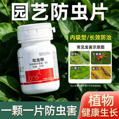 园艺防虫片吡虫啉杀虫剂小白药