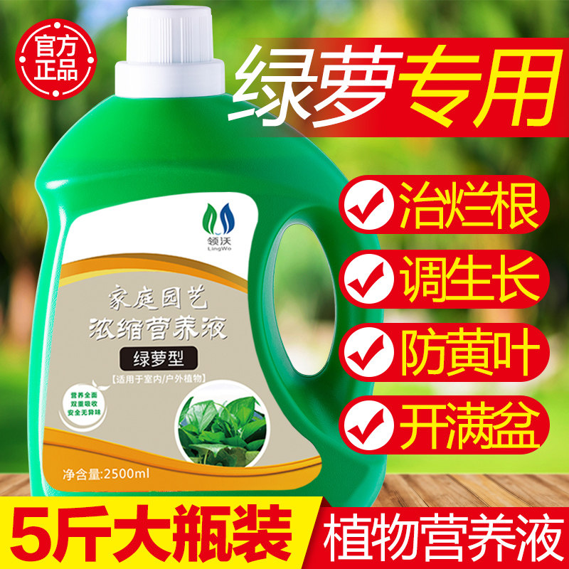 绿萝营养液肥料专用肥植物盆栽家用吊兰发财树土水培养花通用花肥