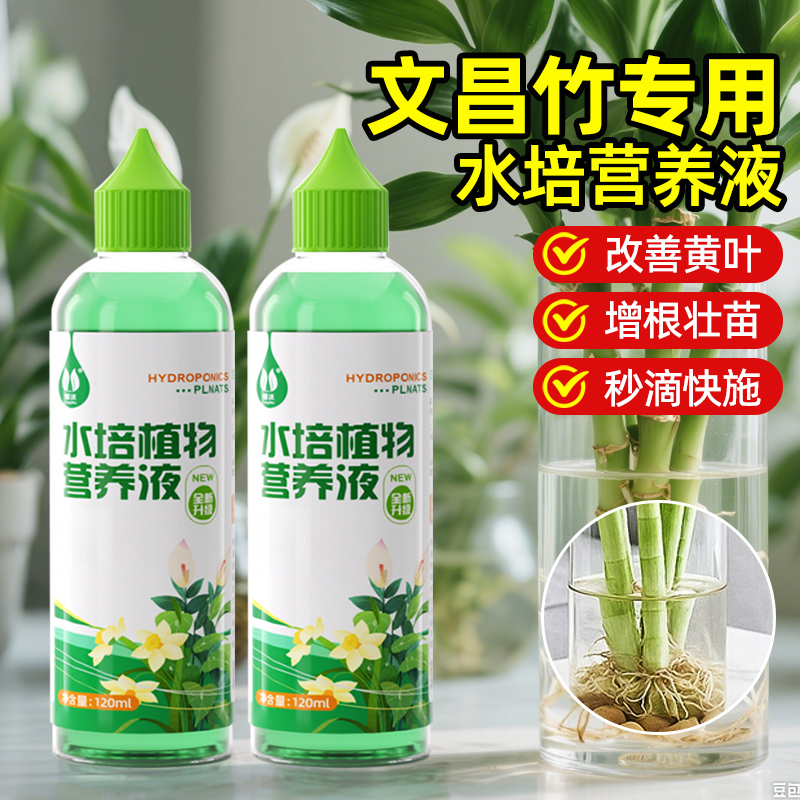 文昌竹4支金榜题名专用营养液绿