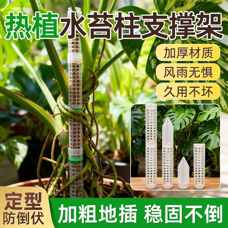 水苔柱爬藤植物专用新型加厚加粗图片