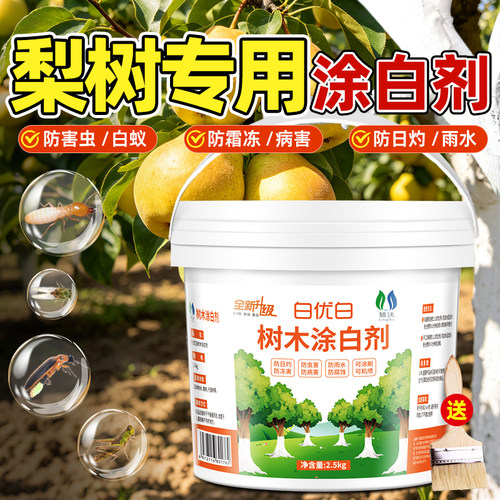 梨子树专用涂白剂抗寒防冻防虫