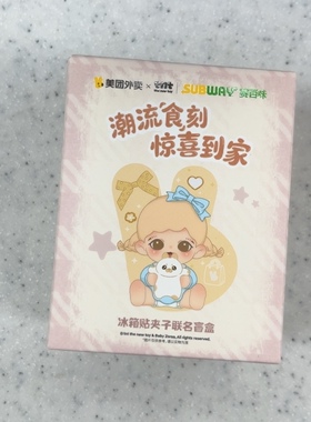 全新美团外卖惊喜口袋tnt赛百味Zorra冰箱贴夹子联名盲盒抱抱灰喵