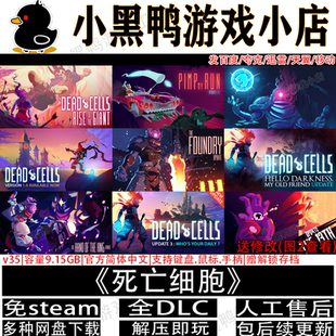 死亡细胞v35全DLC免steam中文PC电脑单机2D游戏网盘下载解压即玩
