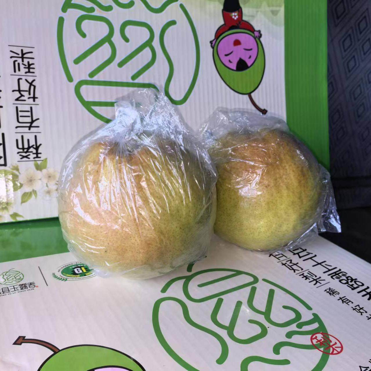 隰县玉露香梨 超大梨6颗约8斤,水产肉类/新鲜蔬果/熟食,梨,淘宝优惠券,粉丝福利购,淘宝优惠卷