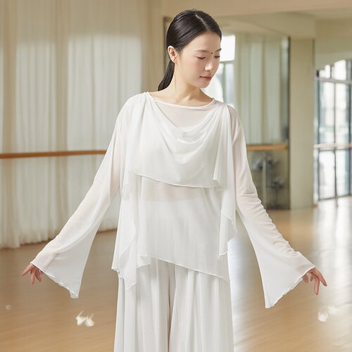 专业飘逸长袖古典舞纱衣套装