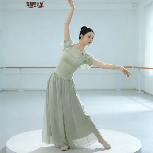 夏季修身飘逸古典舞练功套装