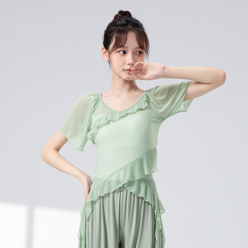 新款古典舞蹈服女荷叶边短袖弹力网纱上衣中国现代舞身韵练功衣服