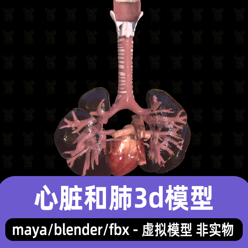 maya人体心脏肺模型blender人体器官肺部结构心脏解剖模型2K贴图