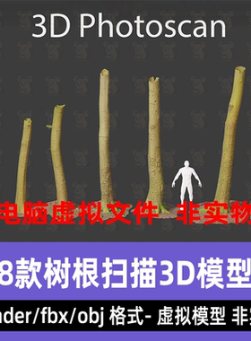 blender树木扫描8款树干树根小树山毛榉树干3d扫描模型3dmax maya