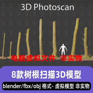 blender树木扫描8款树干树根小树山毛榉树干3d扫描模型3dmax maya