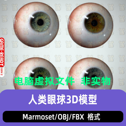 blender写实人物眼睛眼球眼珠3d模型Marmoset maya fbx c4d 3dmax