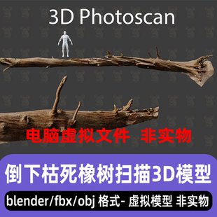 blender倒下的枯死橡树maya枯树死树树干3d扫描模型3dmax c4d fbx