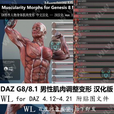 daz3d G8 8.1男性模型肌肉变形器汉化 人物肌肉调整 贴图新品K146